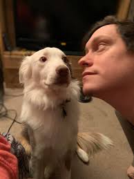 This is without a doubt the funniest photo I've taken of Kaiser 'the  pretzel'. I found it funnier to keep cropping the photo and swiping across  each pic as he gets closer