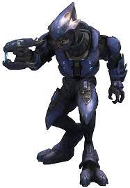 Elites are 7 feet tall, and their armor signifies their rank. Sangheili Species Halopedia The Halo Wiki