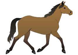 Image en coulere cheval au pat a imprimer gratuit. Dessins En Couleurs A Imprimer Cheval Numero 117602