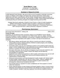 a professional resume template for a