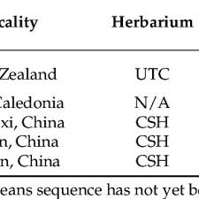 Image result for Blotiella trichosora