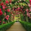 Download and use 90,000+ flower garden stock photos for free. 1