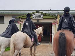 I dag kom det en stor pakke fra SPAREBANKSTIFTELSEN. De har vært  fantastiske med sin støtte av oppgradering og vedlikehold av stallen. Som  en "liten" ekstragave fikk vi forklær, kaffekrus og vaffeljern