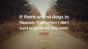 His horse trigger and dog bullet were also in the series. Will Rogers Quote If There Are No Dogs In Heaven Then When I Die I Want