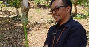 Untuk anda yang akan memulai budidaya porang tanamlah dari bibit porang yang berkualitas terbaik dan dari sumber bibit yang sudah berpengalaman dan terpercaya dalam budidaya porang. Kenalan Yuk Dengan Si Umbi Porang