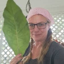 Are stores seeing a trend in price declines?