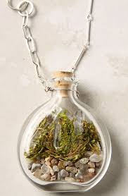 So Cute Terrarium Jewelry Terrarium Necklace Cool Necklaces