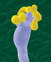 Pin On Science