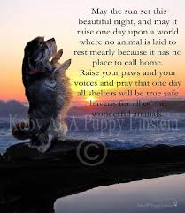 Puppy Prayers At Sunset Photo And Poem By Kim Mobley Etsy Dog Quotes Love Death Of A Pet Dog Solution