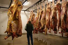 meat cutting house surface ile ilgili gÃ¶rsel sonucu