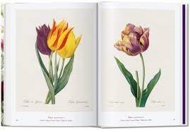 Рейтинг — 4.3 из 5 на основании 7599 оценок. Redoute Das Buch Der Blumen 40th Ed Taschen Verlag