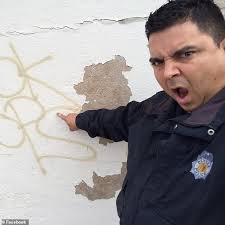 Cop suspended for commenting about a suspect's 'boobs' and asking her adult  daughter out