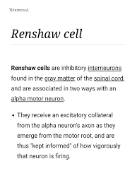 Access to authenticated animal cells is of vital importance to scientists so your research can be trusted and reproducible. Renshaw Cell Wikipedia Neuroscience Science Mathematics