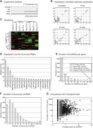 Smooth muscle tissue, unlike striated muscle, contracts slowly and automatically. Characterization Of Circular Rnas In Vascular Smooth Muscle Cells With Vascular Calcification Molecular Therapy Nucleic Acids