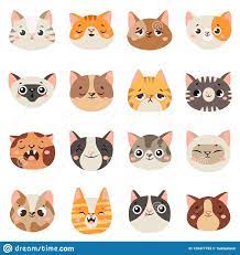 Pin On Funny Pictures Videos Of Pets Sad