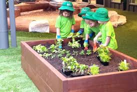 Rotating your crops on the same garden bed ensures that the same type of nutrient. Best Soil For Vegetable Garden Mathiou Services