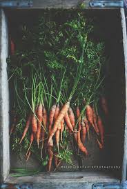 Phi Tran S Favorites Food Photography Inspiration Simple Nutrition Vegetables
