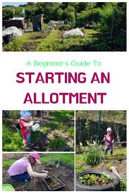 A Complete Guide To Starting An Allotment Vegetable Garden For Beginners Organic Gardening Tips Gardening For Beginners