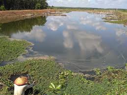 Taman agro wisata cilangkap ini sangat ramai pengunjung kalau hari libur. 5 Tempat Wisata Di Kabupaten Tulang Bawang Barat Sering Jalan