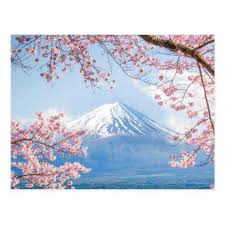 Fuji Mountain Kawaguchiko Lake Spring In Japan Postcard Zazzle Com In 2021 Japan Painting Fuji Mountain Cherry Blossom Painting