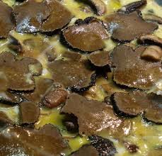 Frittata Al Tartufo Nero Uncinato Tuber Uncinatum Andare A Tartufi