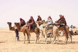 These camels would be fattened for a number of months on the plains of either the maghreb. Unit 2 Networks Of Exchange World History Quiz Quizizz