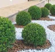 Plastic Garden Edging Profile (Grass Separator) – FRONTMAS