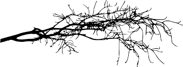 Maybe you would like to learn more about one of these? 15 Simple Tree Branch Silhouettes Png Transparent Onlygfx Com