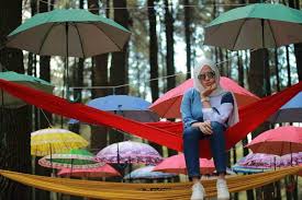 Kamu bisa nikmati pemandangan hutan pinus yang eksotis dan cocok jadi objek foto. Rekomendasi Tempat Wisata Bogor Yang Lagi Hits Di Sentul Wajib Dikunjungi Nih Moms