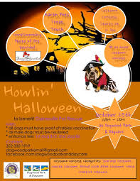 On the street of southwest archer road and street number is 5403. Gators For Gainesville Pet Rescue Facebook