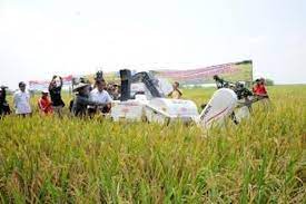 Lowongan kerja 2021| lowongan kerja april 2021 | lowongan bumn cpns medis dosen april 2021 | lowongan sma/smk, d3, s1 s2 | lowongan fresh graduate. Petani Ngawi Sukses Tingkatkan Produksi Padi