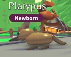 All adopt me codes list. Pets Jungle Egg Adopt Me The Y Guide