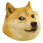 Dogecoin, the meme cryptocurrency that started as a joke, has dominated the airwaves in 2021. How To Buy Dogecoin Doge Newton