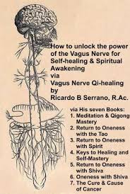 How To Unlock The Power Of The Vagus Nerve For Self Healing And Spiritual Awakening Via Ricardo B Serrano S Seven Books Vagus Nerve Meditation Awakening