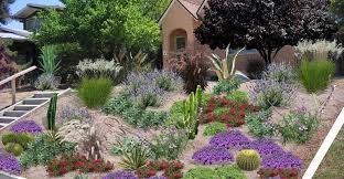 Maybe you would like to learn more about one of these? Alternatives To Grass In Backyards Eco Friendly Bee Friendly Ecohome