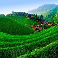 نفت سفارة جمهورية تركمانستان لدى موسكو صحة ما أوردته بعض وسائل الإعلام حول وفاة رئيس البلاد قربان قولي بيردي محمدوف. ØµÙˆØ± Ø·Ø¨ÙŠØ¹ÙŠØ© Ù„Ù‚Ø·Ø§Øª Ù…Ù† Ø§Ù„Ø·Ø¨ÙŠØ¹Ù‡ Ø§Ø­Ù„Ù‰ ÙƒÙ„Ø§Ù…