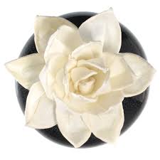 They use all major carriers and local courier partners. Sola Wood Flower Aroma Oil Diffuser With A Bendable Cotton Wire Wick Tropicazona