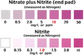 135 Nitrate And Nitrite In Water Testing School Science Kits