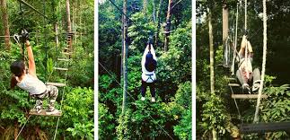 Skytrex adventure park, shah alam via www.penaberkala.com the other side of me: 25 Tempat Menarik Di Shah Alam 2021 Selangor Panduan Bercuti