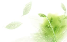 Light Green Wallpapers Green Wallpaper Cool Wallpapers For Phones Nature Iphone Wallpaper