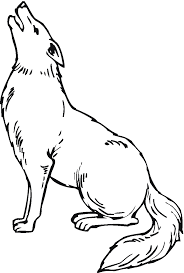 Download free books in pdf format. Coyote Animals Printable Coloring Pages