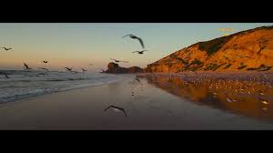 30 degrés à l'ombre (demo) jean d'auberlaque: 28 A L Ombre By Jean Francois Maurice With English Subtitles Youtube