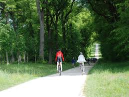 The huile on the route : Randonnee A Velo Autour Des Etangs De Hollande Yvelines Tourisme