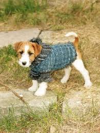 Diy Wie Man Einen Hundepullover Strickt Toll Dog Sweaters Pet Costumes For Dogs Dog Sweater