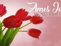 Get betty flowers's contact information, age, background check, white pages, social networks, resume, professional records, pictures & bankruptcies. The 8 Best Options For Flower Delivery In Norman Oklahoma 2021