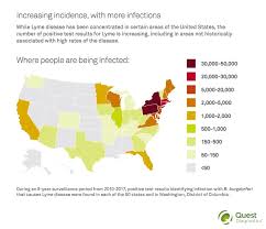 What Is A Lyme Literate Doctor Keep Kids Healthy