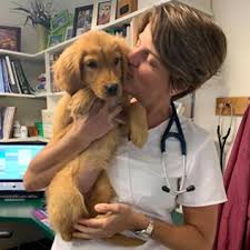 Our veterinarian offers a wide variety of medical, surgical and dental services in our veterinary clinic. Great Bay Animal Hospital Durham Nh