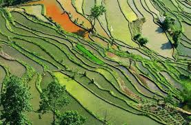 I Bet You Didn T Know Rural China Was This Beautiful Honghe World Heritage Sites Aerial View