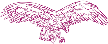 Download now 219 free eagle vector public domain vectors. Spread Drawing Eagle Bird Wings Animal Hunting Burung Elang Terbang Vektor 640x320 Png Clipart Download