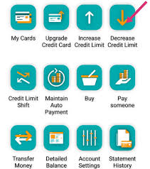 Individual purchases and cash advances. Blackexcellence On Twitter Nedbank Why Don T You Have An Option To Decrease Your Credit Card Limit On Your App Like Your Other Friends But You Have Option To Increase It Https T Co Knjlgardap